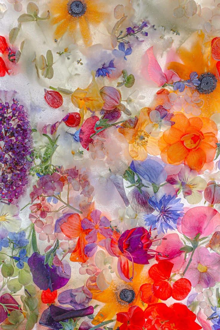 Sapphire Seas Coastal Bloom Collection